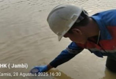 Waspada! Kandungan Bakteri Coli Air Sungai Batanghari di Tebo Melebihi Baku Mutu 