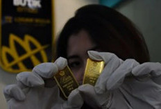 Anjlok Parah! Harga Emas Antam Hari Ini Ambles Rp50.000 per Gram, Waktunya Borong?