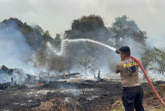Polda Jambi Terjunkan 30 Personel ke Betara, Karhutla di Tanjab Barat Masih Jadi Perhatian Serius