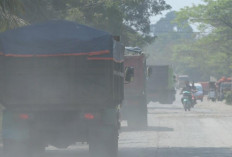  Kualitas Udara Memburuk, Masyarakat Tanjab Timur Diminta Waspada 