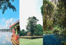 Libur Nataru di Jambi Makin Seru! Ini Destinasi Berkonsep Wisata Alam Hits yang Wajib Kamu Kunjungi