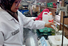 Ilmuwan UNJA Ini Ungkap Khasiat Pucuk Merah Lewat SOGY Serum, Inovasi Nano Anti-Aging dan Perlindungan Kulit