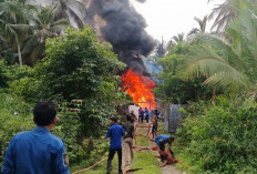 Duh! Gudang Minyak Diduga Berisi BBM Bersubsidi di Tanjab Barat Terbakar