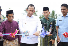Diresmikan Bupati BBS, Jembatan Bentari Jadi Simbol Persatuan Warga Betung, Dibangun dari Dana Swadaya Rp1,5 M
