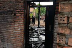 Bekas Bengkel di Pijoan Terbakar, Damkarmat Muaro Jambi Turunkan Armada, Penyebab Api Belum Diketahui 