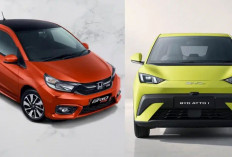 Adu Irit BYD Atto 1 Vs Honda Brio untuk Komuter: Selisih Biaya Energinya Tembus Jutaan Rupiah!