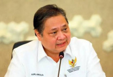 Perjalanan Dinas Dipangkas Drastis, Luar Negeri 70%! Ini Strategi Pemerintah Hemat Triliunan Rupiah