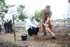 Gerakan Ketahanan Pangan dan Energi Diluncurkan di Muaro Jambi, Dorong Akselerasi Menuju Indonesia Emas 2045