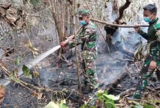Karhutla Masuk Kawasan PT REKI di Batang Hari! Sekitar 30 Hektare Lahan Terbakar, Tim Gabungan Bergerak