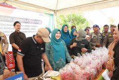 Bupati Anwar Sadat dan Ketua TP PKK Hadiri Gerakan Pangan Murah Nasional di Tanjab Barat Jelang Ramadan