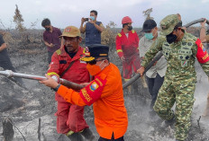 Karhutla Pulau Mentaro Belum Usai, Danrem 042/Gapu dan Gubernur Jambi Kembali Turun Langsung ke Titik Api