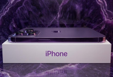 Daftar Harga iPhone Bekas Mulai Dari Kisaran Rp 4 Juta Sampai Rp 8 Juta