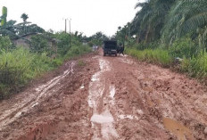 WAduh,  Jalan Provinsi di Kumpeh Muaro Jambi Rusak Berat, Warga Tagih Janji Gubernur Jambi
