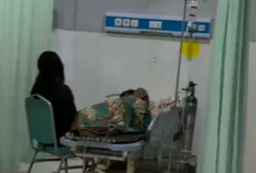 PETI Bikin Susah! Satu Warga Dilarikan ke Rumah Sakit Tebo Gegara Ribut di Lokasi Tambang Emas Ilegal