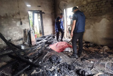 Rumah di Mendalo Asri Terbakar, Pemilik Tewas Diduga Akibat Korsleting Listrik