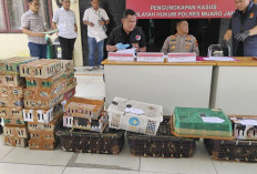 Nah! Edi Purwanto Ditangkap Satreskrim Polres Muaro Jambi, Kasus Penyelundupan Ratusan Burung Dilindung