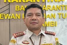 Jalur Ekspor ke Timur Tengah Terganggu, Pengusaha Jambi Ubah Strategi Pengiriman Pinang