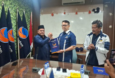 Resmi! NasDem Jambi Kunci Kepemimpinan Baru di Tanjab Barat, Hasan Basri Harahap Gantikan Hairan