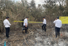 Siapa Pemilik Lahan yang Terbakar? Satreskrim Polres Muaro Jambi dan Polda Jambi Selidiki Karhutla di Jaluko