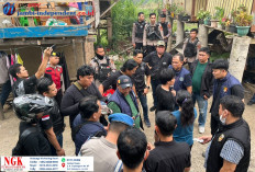 Operasi Sarang Narkoba! Satresnarkoba Polresta Jambi Gerebek Pulau Pandan, 6 Orang Diamankan