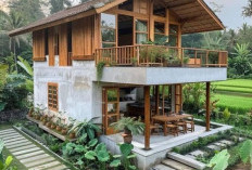 Harmoni Alam dan Kemewahan: 10 Gaya Desain Rumah yang Cocok di Pedesaan
