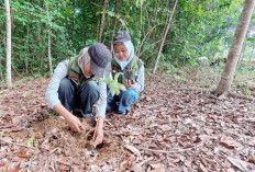 Jejakkan Aksi untuk Bumi, Sinsen Hijaukan Jambi dengan Penanaman Lebih dari 500 Bibit Pohon