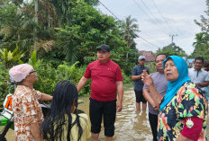 Pemkab Bungo Tetapkan Status Tanggap Darurat, 4.386 Rumah Terendam Banjir