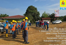 Penerapan K3 Jadi Kunci PLN ULP Kota Baru Jaga Keandalan Listrik