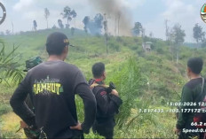 Saat Patroli di Tahura Batanghari, Brimob Polda Jambi Temukan Titik Api