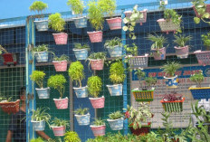Bikin Betah di Rumah! Ini 9 Ide Taman Indoor Minimalis yang Ampuh Redakan Stres Sekaligus Perindah Hunian