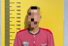 Kepergok Curi Sawit Perusahaan, Warga Bukit Peranginan Mandiangin Diamankan Polisi