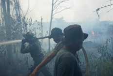 PT Reki Dukung Proses Penyidikan Terkait Karhutla di Hutan Harapan 