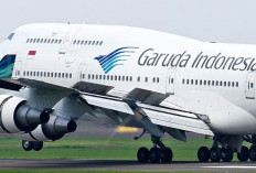 Biaya Haji Berpotensi Disesuaikan, Pemerintah Evaluasi Dampak Kenaikan Harga Avtur