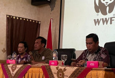 AJI Jambi dan WWF Indonesia Gelar Diseminasi Liputan dan Pemutaran Film Restorasi Berbasis Masyarakat di Tebo