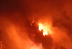 Enam Kebakaran Dalam Sepekan di Muaro Jambi, Damkarmat Ingatkan Warga Soal Ancaman Korsleting dan LPG