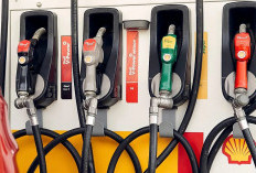 Pilihan BBM Diesel Premium Makin Beragam: Shell Masuk, Ini Perbandingan Harga dengan Vivo dan BP