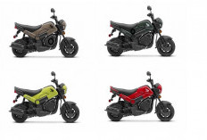 Honda Navi, Motor Mini Paling Unik dengan Gaya Sporty dan Mesin Matic