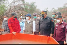 Wakil Bupati Tanjab Timur Dampingi Menteri Kehutanan Tinjau Lokasi Karhutla di Desa Pandan Sejahtera Geragai