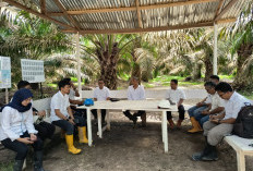 Kebun PTPN IV Regional IV Utamakan Operational Excellence 