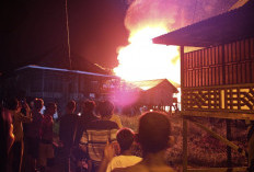 BREAKING NEWS: Kebakaran Hebohkan Arab Melayu Jambi