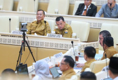 Pada Saat Raker, RDP dan RDPU bersama Komisi II DPR RI, Gubernur Jambi Al Haris Terus Perjuangkan Nasib PPPK 