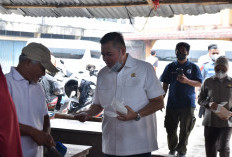 Kabut Asap Jambi Jadi Perhatian, Ketua DPRD dan Kapolresta Bagikan 2.000 Masker