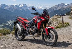 PT Astra Honda Motor Segarkan Tampilan Big Bike CRF1100L Africa Twin, Dijual Rp665 Juta
