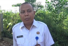   Stok Hewan Kurban di Kabupaten Muaro Jambi Tembus 6 Ribu Ekor Menjelang Idul Adha