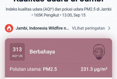 Siang ini AQI Kota Jambi Tembus 313! Udara Masuk Kategori Berbahaya