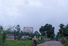 Jembatan Blok C1 Pandan Makmur, Bukti Nyata Kepedulian, Kontribusi SKK Migas PetroChina di Tanjab Timur