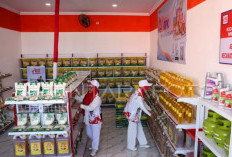 Gaji BUMN, Kerja di Desa: Lowongan Manager Kopdes Merah Putih yang Wajib Kamu Coba