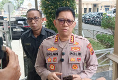 4.267 Hektare Lahan Sudah Terbakar Akibat Karhutla Jambi, Kualitas Udara Masih Berbahaya