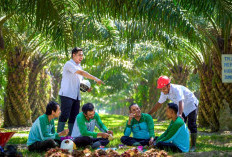 PalmCo Serap 70 Ribu Tenaga Kerja, Bidik Peluang Baru dari Hilirisasi Sawit