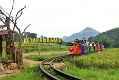 Konsisten Dorong Kemajuan Ekonomi Desa, BRI Raih Penghargaan pada Puncak Hari Desa Nasional 2026